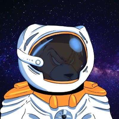 SpaceRatZNFT avatar